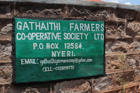 Ripe cherry aromatics lead to a white nectarine sweetness, blackcurrant acidity and a clean, sugary mouthfeel, creating a lingering yet refreshing finish.