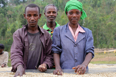 Candied kumquat aromas lead to ripe nectarine and fresh passionfruit,  while a gentle tamarind soda acidity complements a supple, refined body.