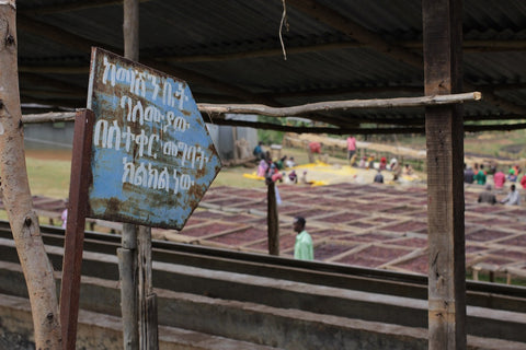 Aromas of sweet hops and butterscotch lead to a limeade sweetness and cooked gooseberry acidity. A saturated mouthfeel carries a tropical fruit finish.